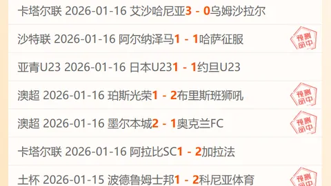 [德甲]李在成边路精准助攻，双箭齐发助力球队夺冠